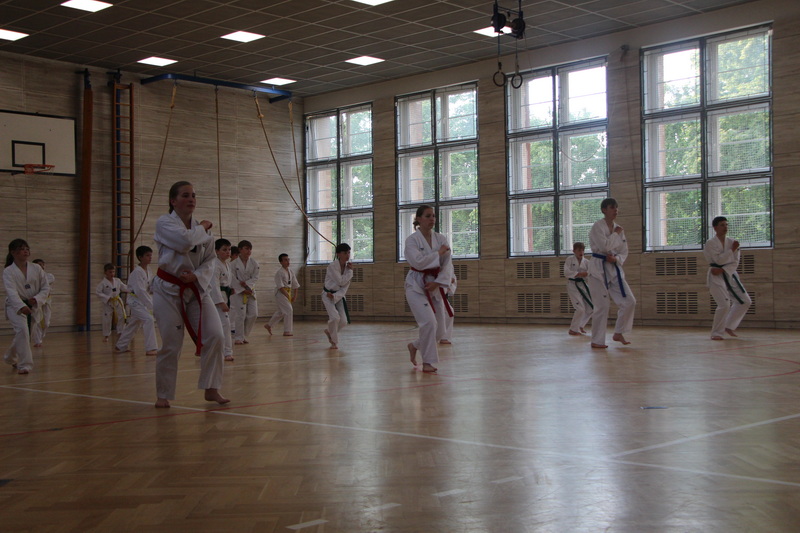 IMG_7412_2.JPG